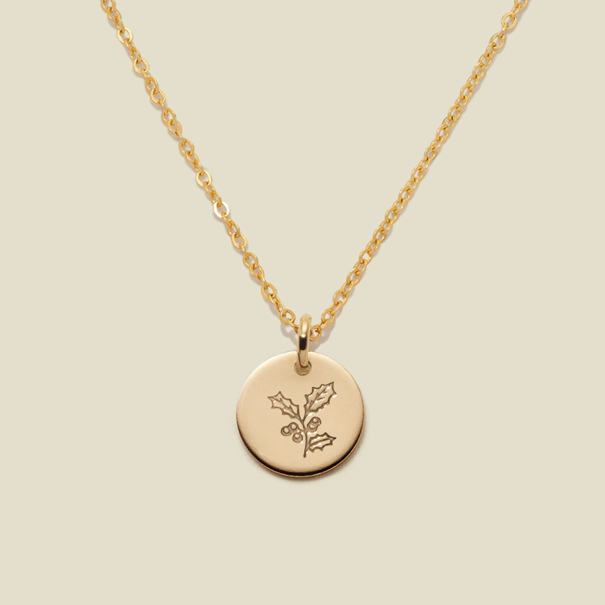 December Birth Flower Necklace Gold Filled / 3/8" / 16"-18" Necklace