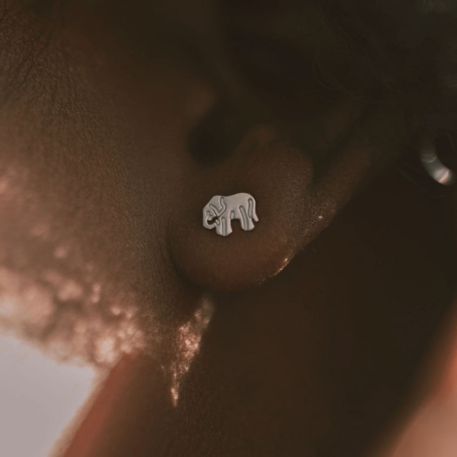Lucky Stud Earring - Silver Lifestyle