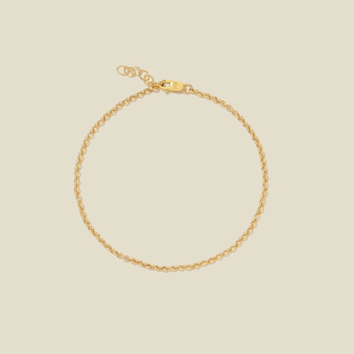 Rolo Chain Bracelet Gold Filled / 6" Bracelet