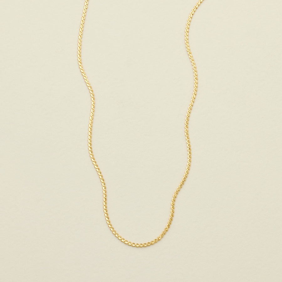 Serpentine Chain Necklace | Final Sale